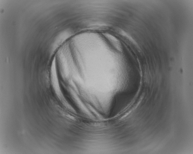 X0000070431362200606231907