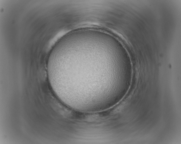 X0000070431363200606231907