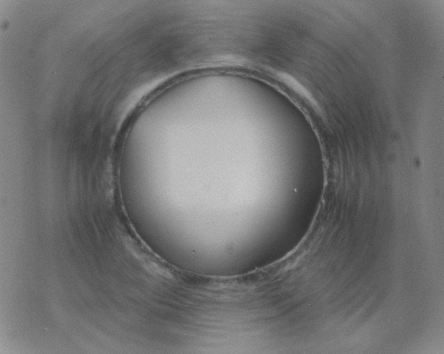 X0000070431364200606231907