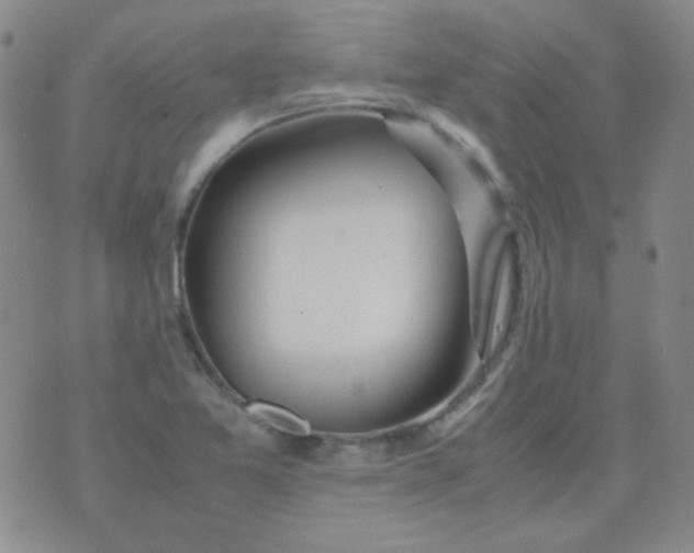 X0000070431365200606231907