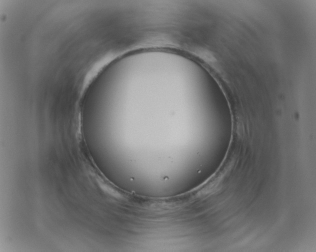 X0000070431366200606231907