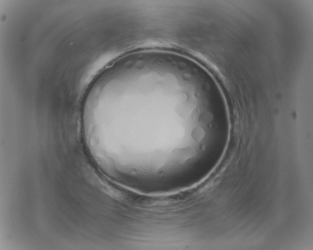 X0000070431367200606231907