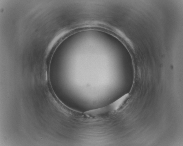 X0000070431368200606231907