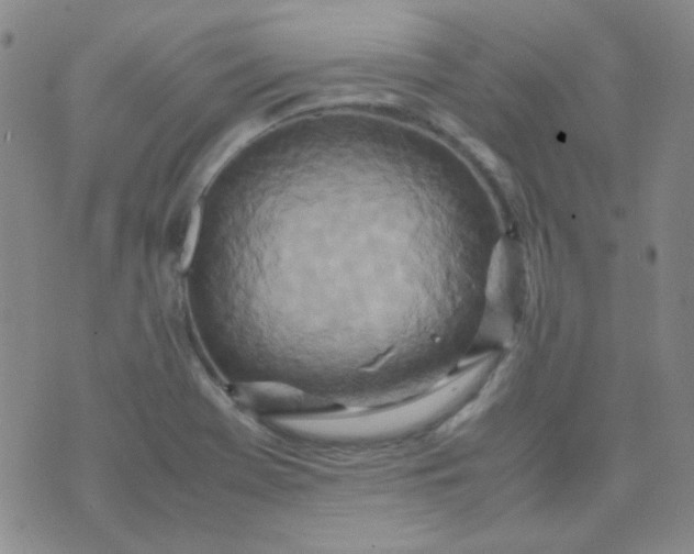 X0000070431369200606231907