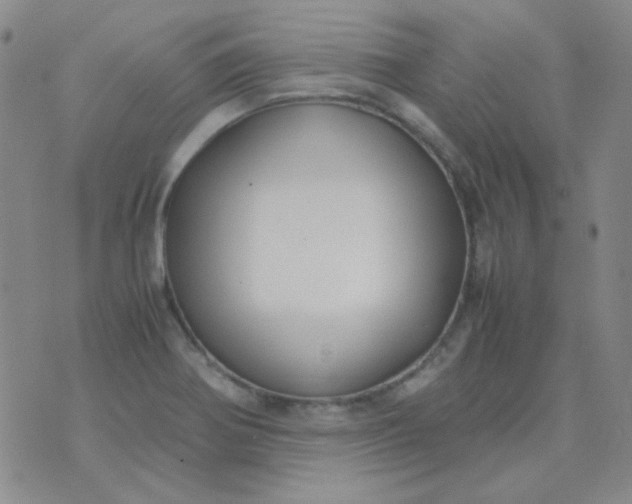 X0000070431370200606231907