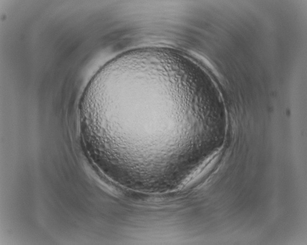 X0000070431371200606231907