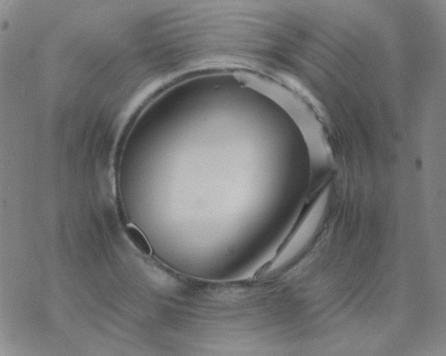 X0000070431372200606231907