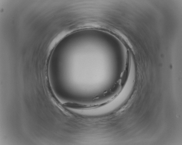 X0000070431373200606231907