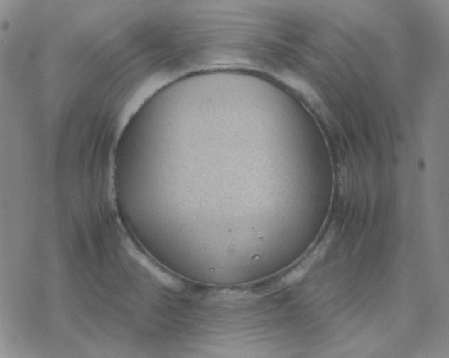 X0000070431374200606231907