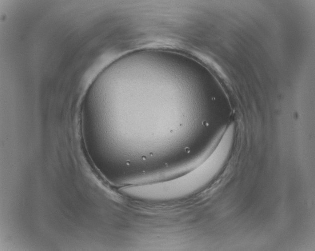 X0000070431375200606231907