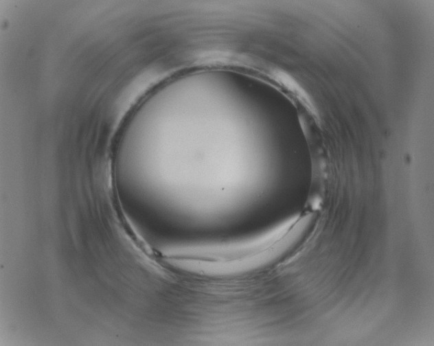 X0000070431376200606231907