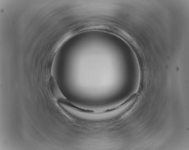 X0000070431377200606231907