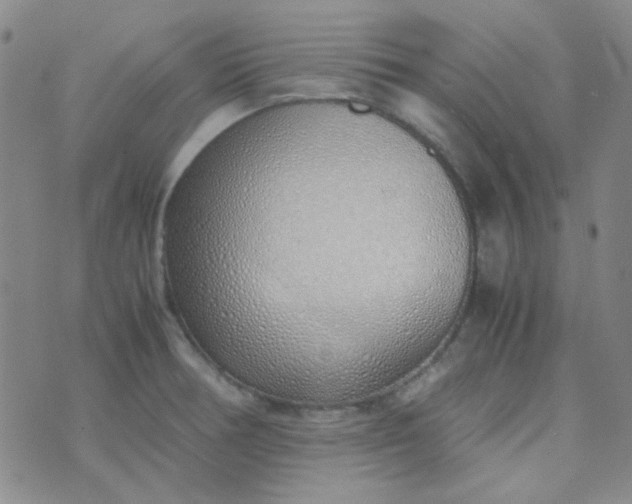 X0000070431378200606231907