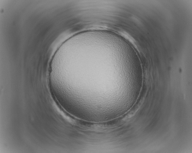 X0000070431379200606231907