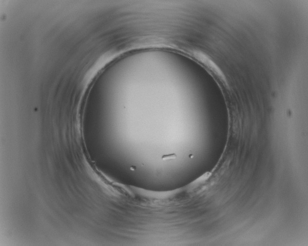 X0000070431380200606231907