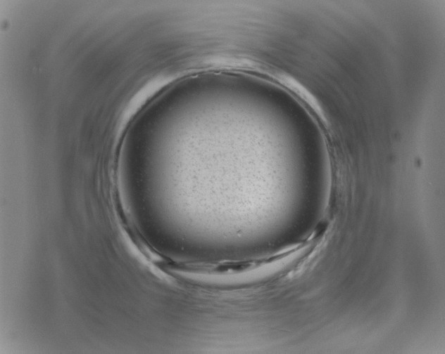 X0000070431381200606231907