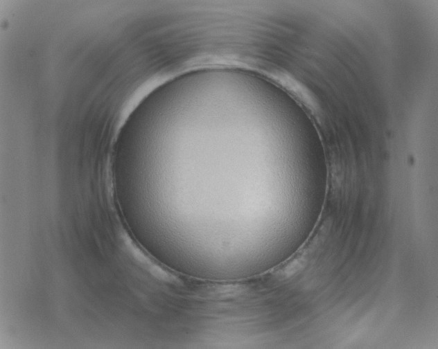 X0000070431382200606231907