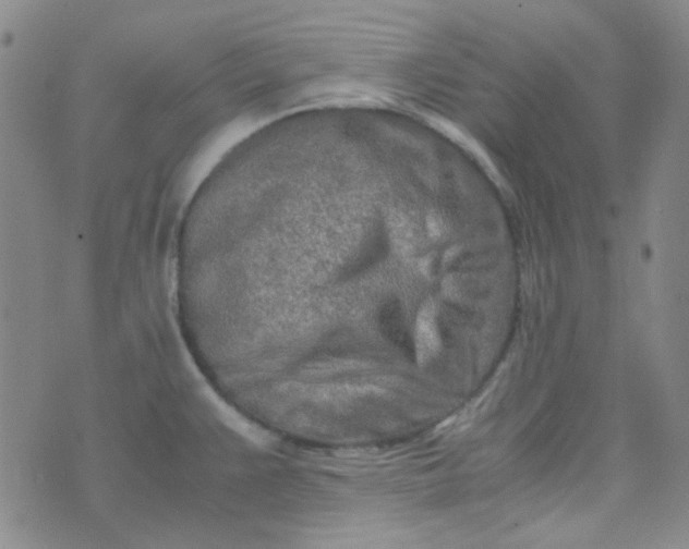 X0000070431383200606231907