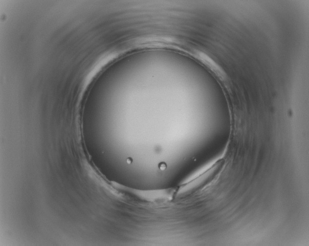 X0000070431384200606231907