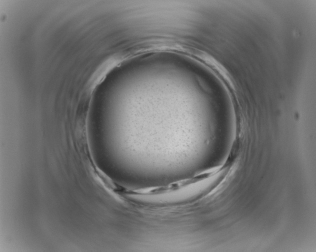 X0000070431385200606231907