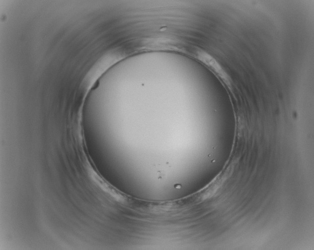 X0000070431386200606231907