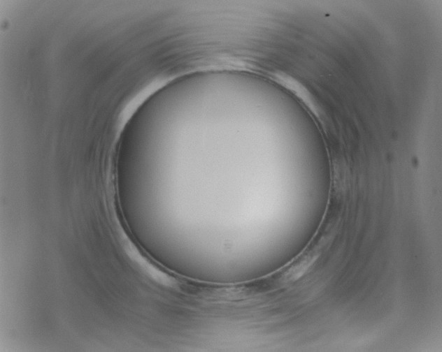 X0000070431387200606231907