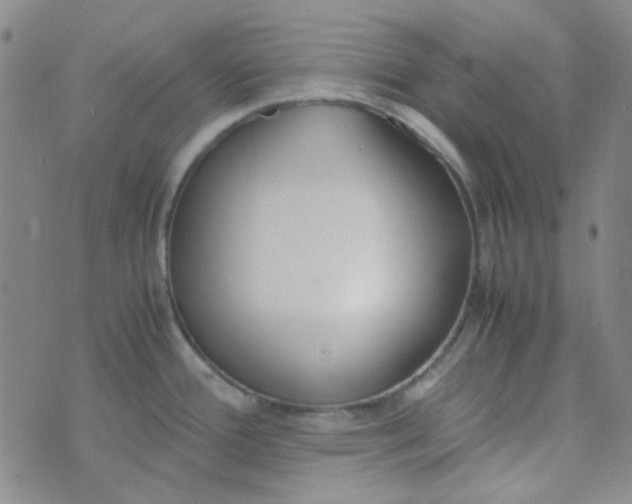 X0000070431388200606231907