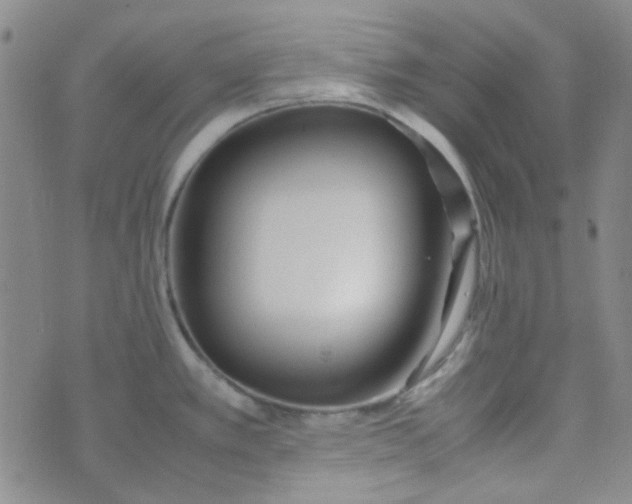 X0000070431389200606231907