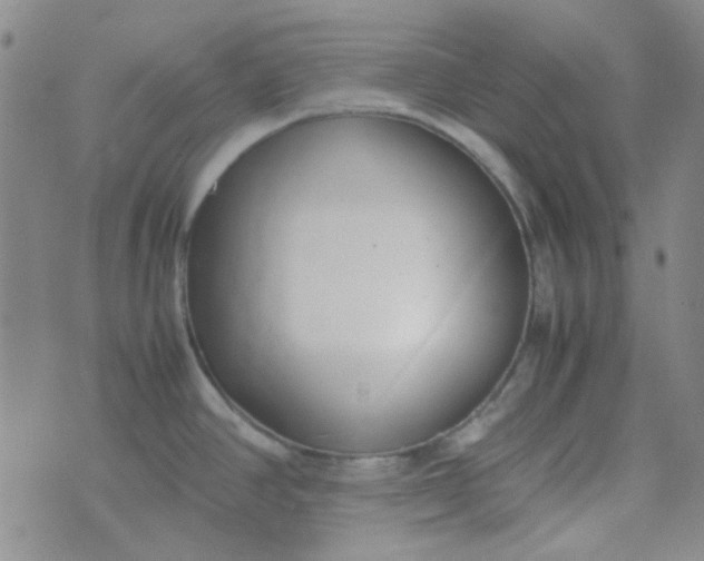 X0000070431390200606231907