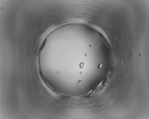 X0000070431391200606231907