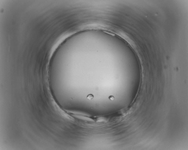 X0000070431392200606231907