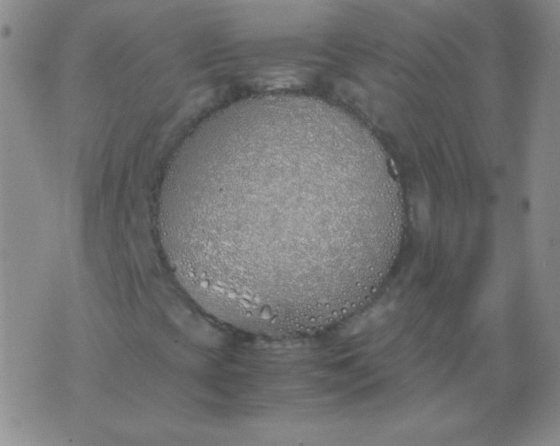 X0000070431393200606231906