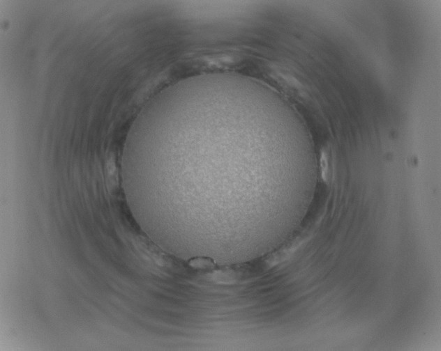 X0000070431395200606231906