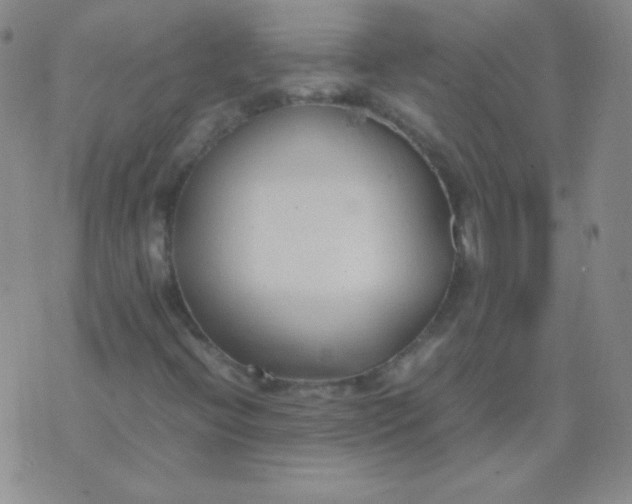 X0000070431396200606231906