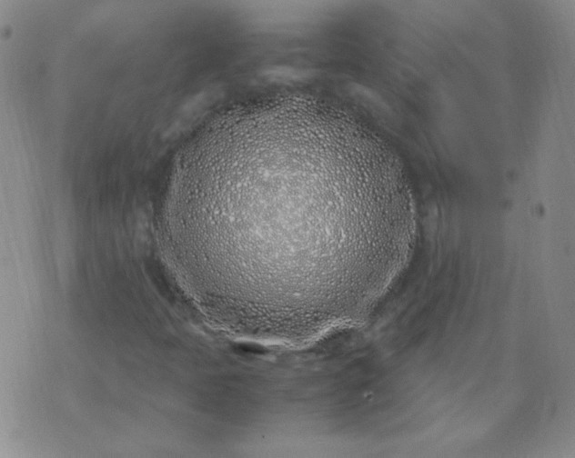 X0000070431397200606231906