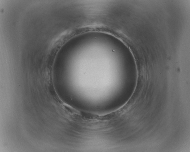 X0000070431398200606231906