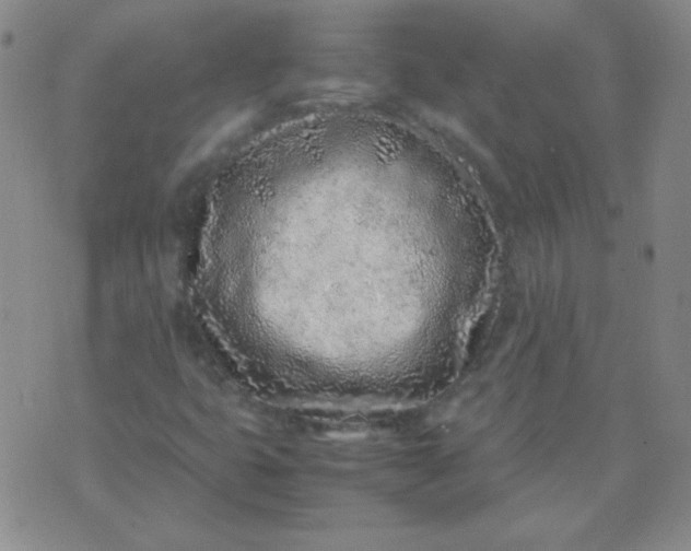 X0000070431399200606231906