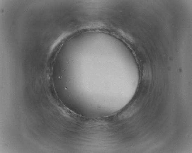 X0000070431400200606231906