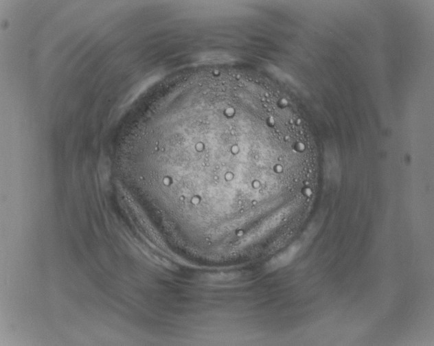 X0000070431401200606231906