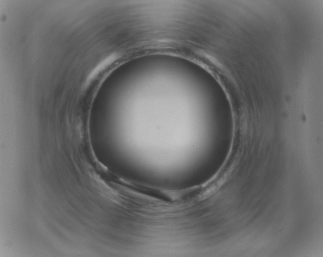 X0000070431402200606231906