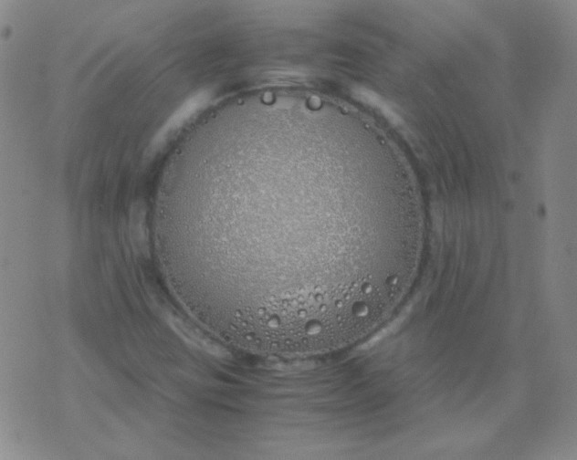 X0000070431403200606231906