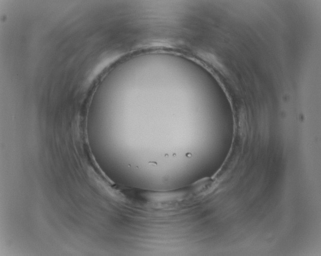 X0000070431404200606231906