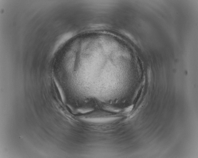 X0000070431405200606231906