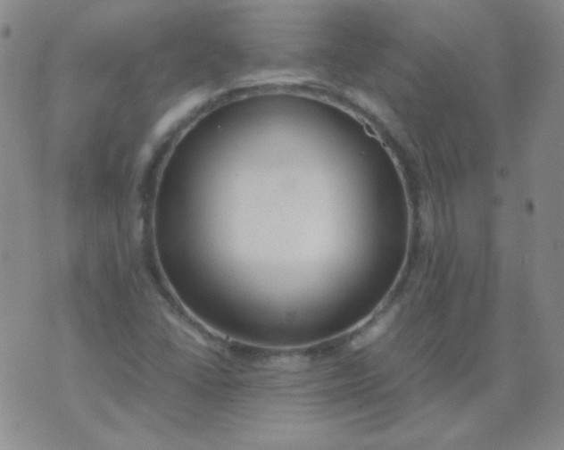 X0000070431406200606231906