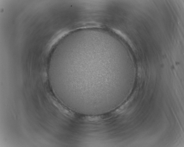 X0000070431407200606231906