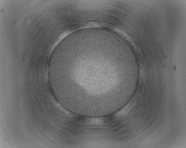 X0000070431409200606231906