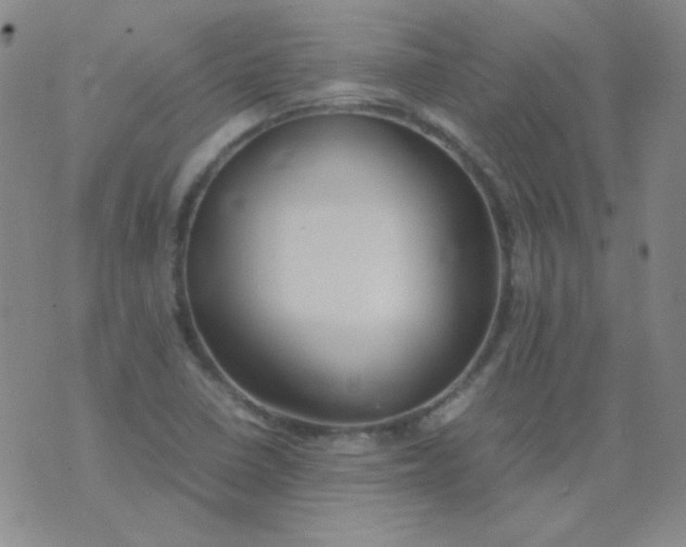 X0000070431410200606231906