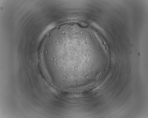 X0000070431411200606231906