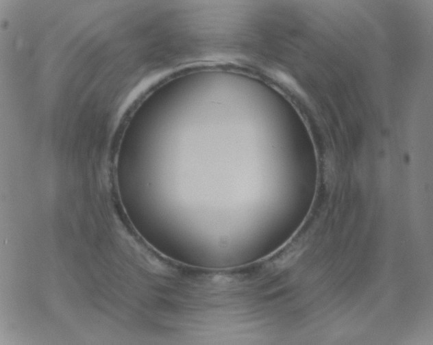 X0000070431412200606231906