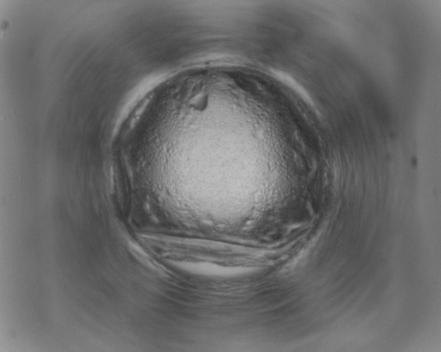 X0000070431413200606231906